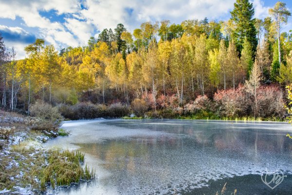 Great Landscape and Fine Art photography Christie Bryant Fall Afternoon in Victor Idaho